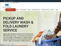 Sites similar to laundryagogo.com