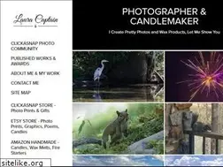 Sites similar to lauracaptain.com