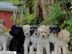Sites similar to laurelhillspoodles.com