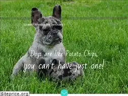 Sites similar to laurelspuppies.com