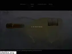 Sites similar to laurent-rodriguez.com