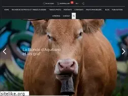 Sites similar to laurentferriere.com