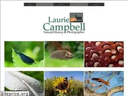 Sites similar to lauriecampbell.com
