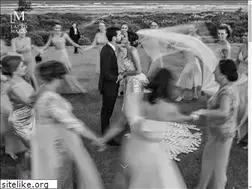 Sites similar to lauromaeda.com.br