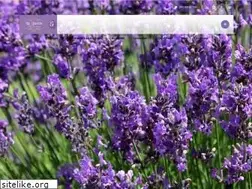 Sites similar to lavandas.com.br
