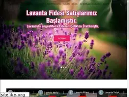 Sites similar to lavantafideleri.com