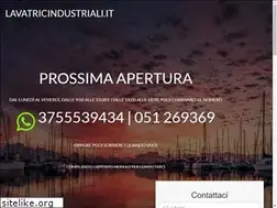 Sites similar to lavatricindustriali.it