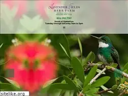 Sites similar to lavenderfieldsfarm.com