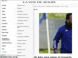 Sites similar to lavozdeaviles.es