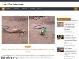 Sites similar to lavozdeldespertar.com