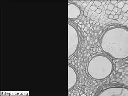 Sites similar to lawsonscientific.com