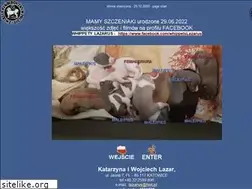 Sites similar to lazarus-whippet.net
