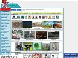 Sites similar to lazland.com