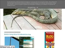 Sites similar to lazy-lizard-tales.blogspot.com