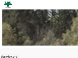 Sites similar to lbc-boras.se