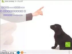 Sites similar to leading-dog.com