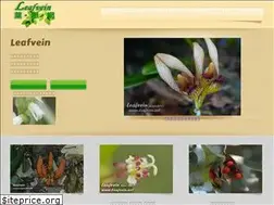 Sites similar to leafvein.net