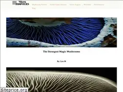 Sites similar to leamicheleweb.org