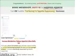 Sites similar to leanoptimizer.com