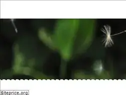 Sites similar to learninglinkschildcare.co.nz