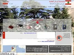 Sites similar to lebanonconsulate-uae.com