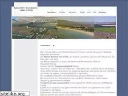 Sites similar to leben-in-chile.com