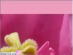 Sites similar to lebenmitjesus.de