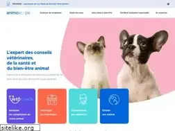 Sites similar to lebonchat.fr