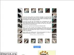 Sites similar to lecoindesrats.net