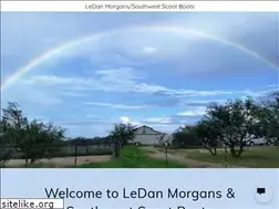 Sites similar to ledanmorgans.com