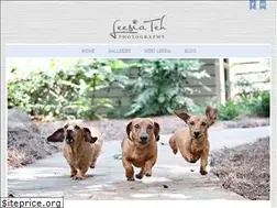 Sites similar to leesiateh.com