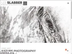 Sites similar to leeslabber.com