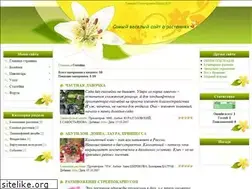 Sites similar to leika.ru