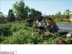 Sites similar to lejardiniermaraicher.com