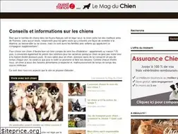 Sites similar to lemagduchien.com