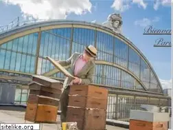Sites similar to lemieldeparis.com