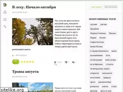 Sites similar to lenastory.ru