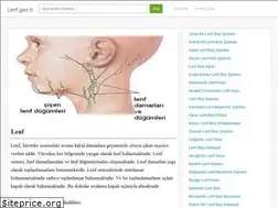 Sites similar to lenf.gen.tr