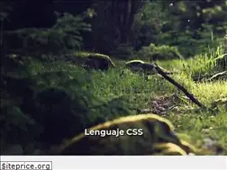 Sites similar to lenguajecss.com