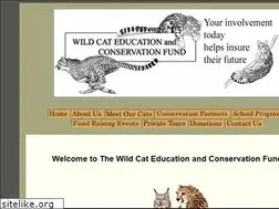 Sites similar to leopardsetc.com
