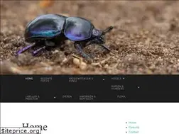 Sites similar to leowijering.com