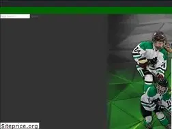Sites similar to leprechaunshockey.com