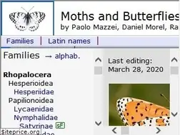 Sites similar to leps.it