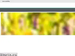 Sites similar to lerepaireduchef.fr