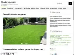 Sites similar to leroidugazon.com