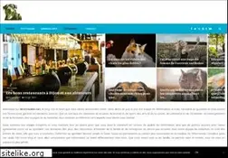 Sites similar to lerottweiler.net