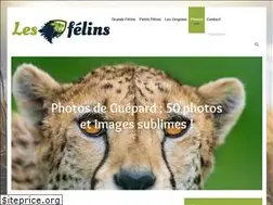 Sites similar to les-felins.com