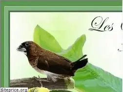 Sites similar to les-oiseaux-exotiques.com
