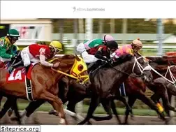Sites similar to les7methodesfiablesauturf.fr