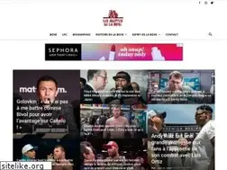 Sites similar to lesadeptesdelaboxe.com